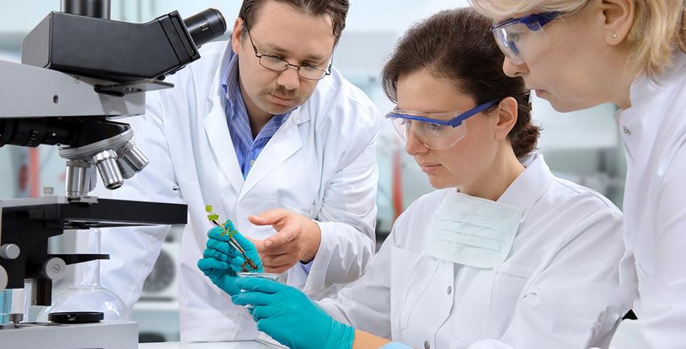 Factors Influencing the Performance of Silicone Adhesive