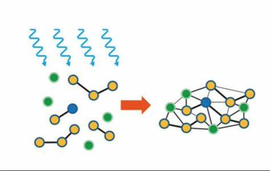 Adhesion Mechanisms and Bonding Strength of UV Adhesive